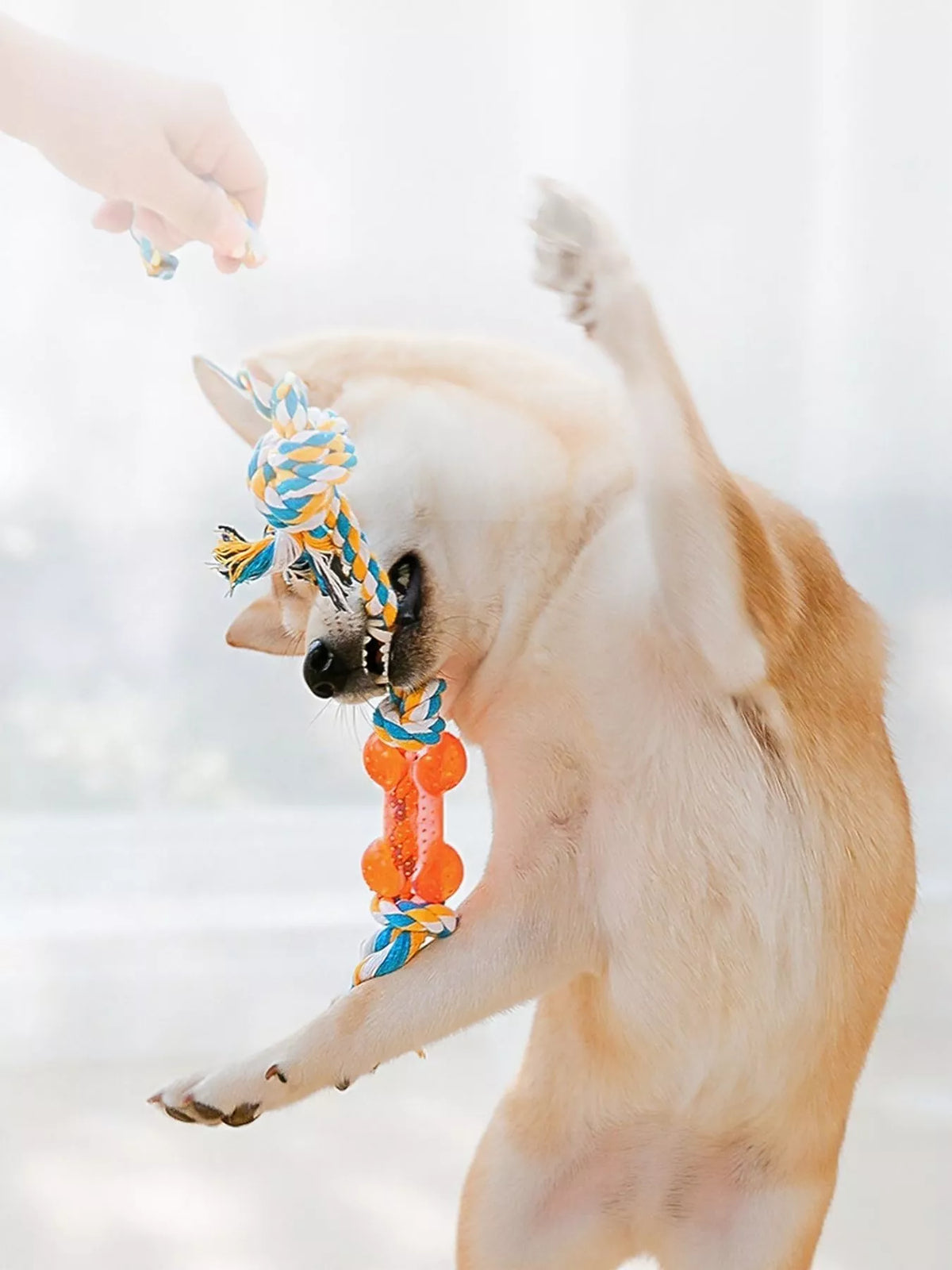 TOYS & PLAY
