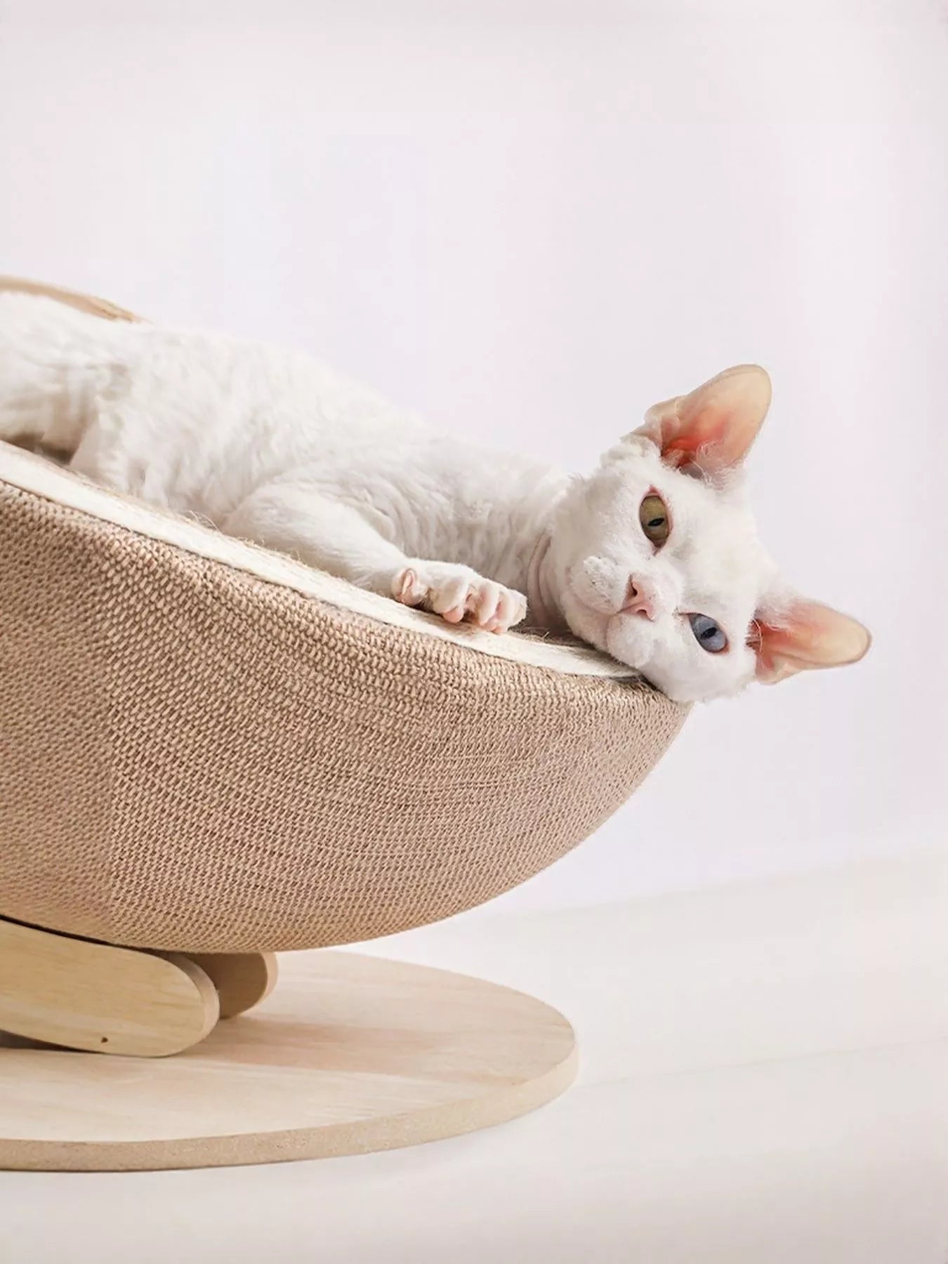 A white cat relaxing in a Cat Nest with Hemp Rope Scratcher, showcasing its semi-enclosed design and comfort.