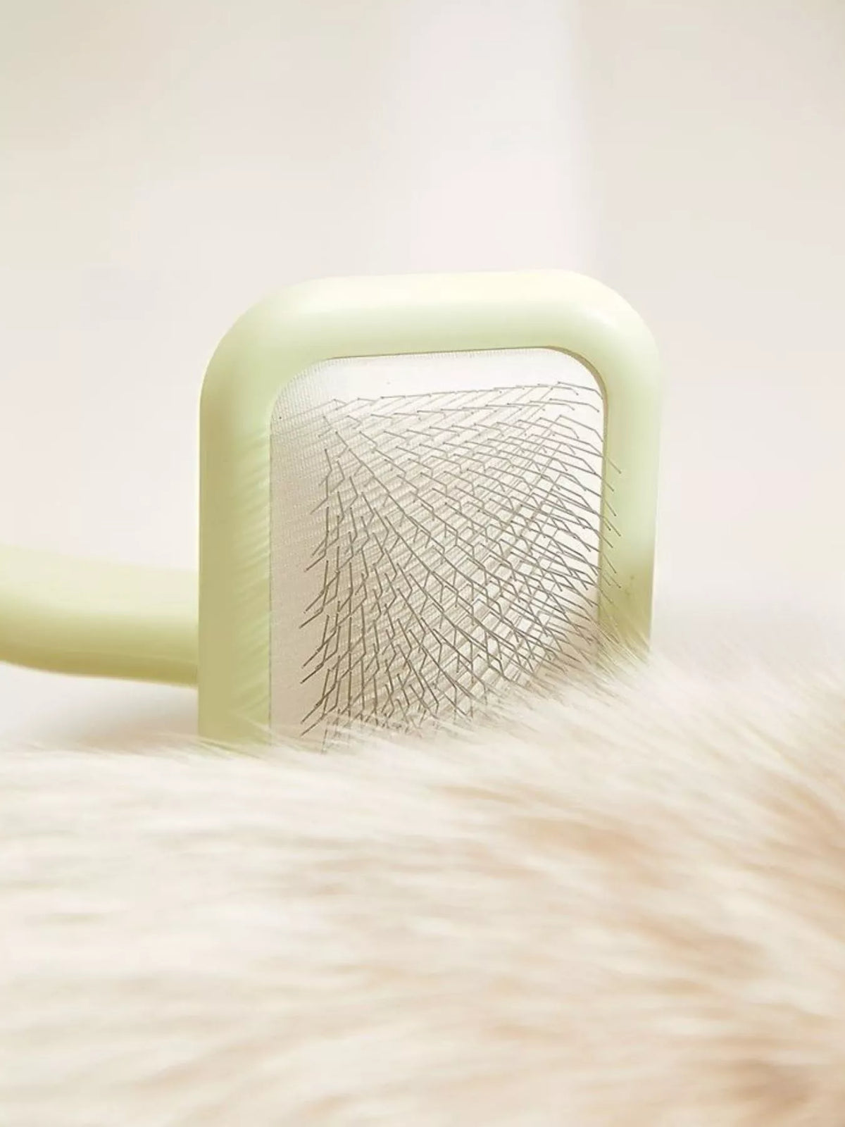 GROOMING ESSENTIALS