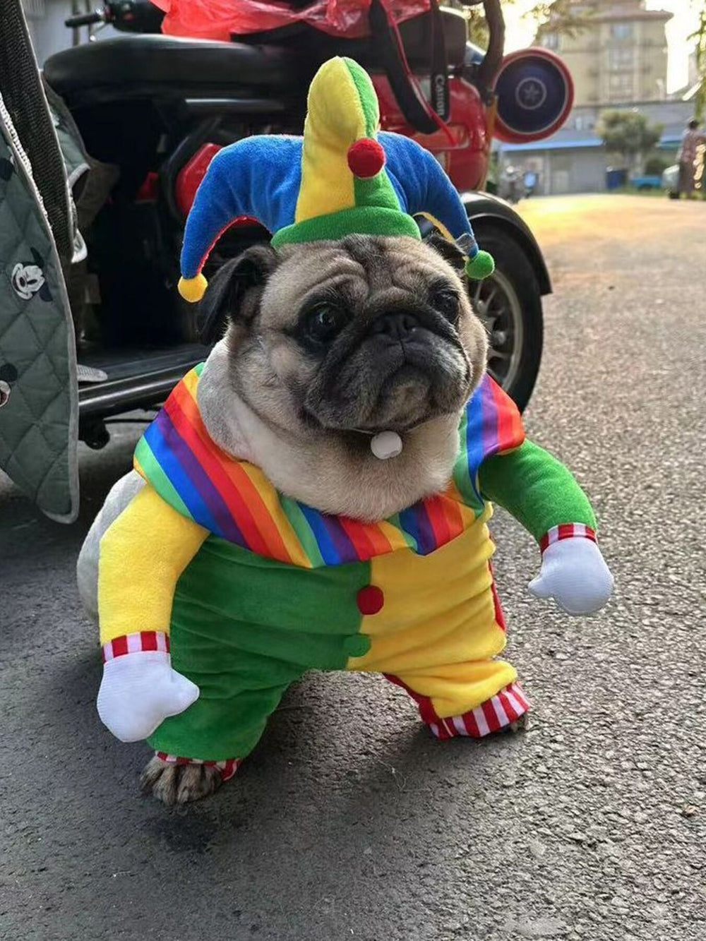 Premium Pet Fashion